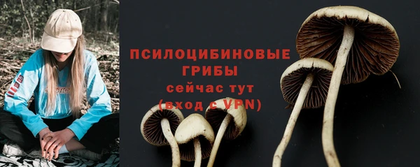 бошки Лабытнанги