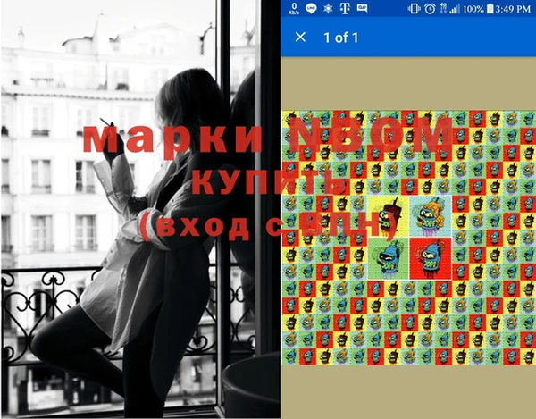 стафф Ладушкин