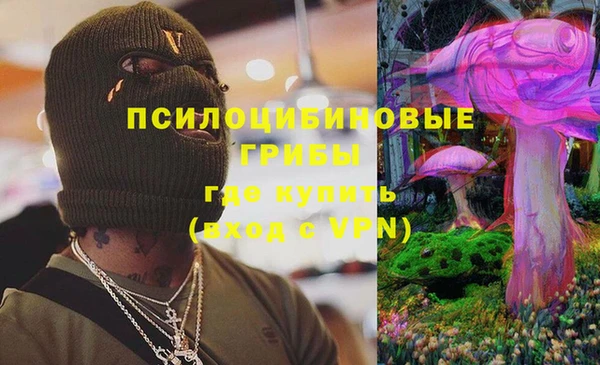 стафф Ладушкин