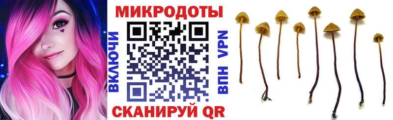 Псилоцибиновые грибы мухоморы  Купить  Черепаново 